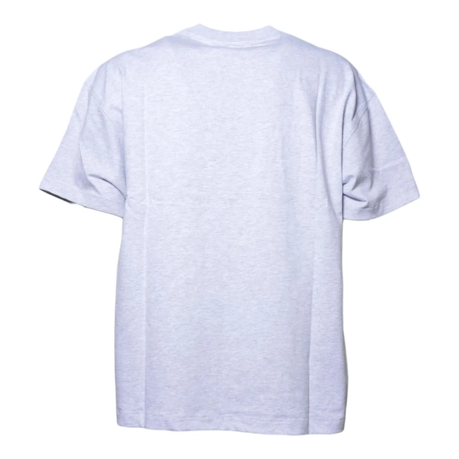 Dickies DK0A87QE T-shirt grigio chiaro cotone pesante