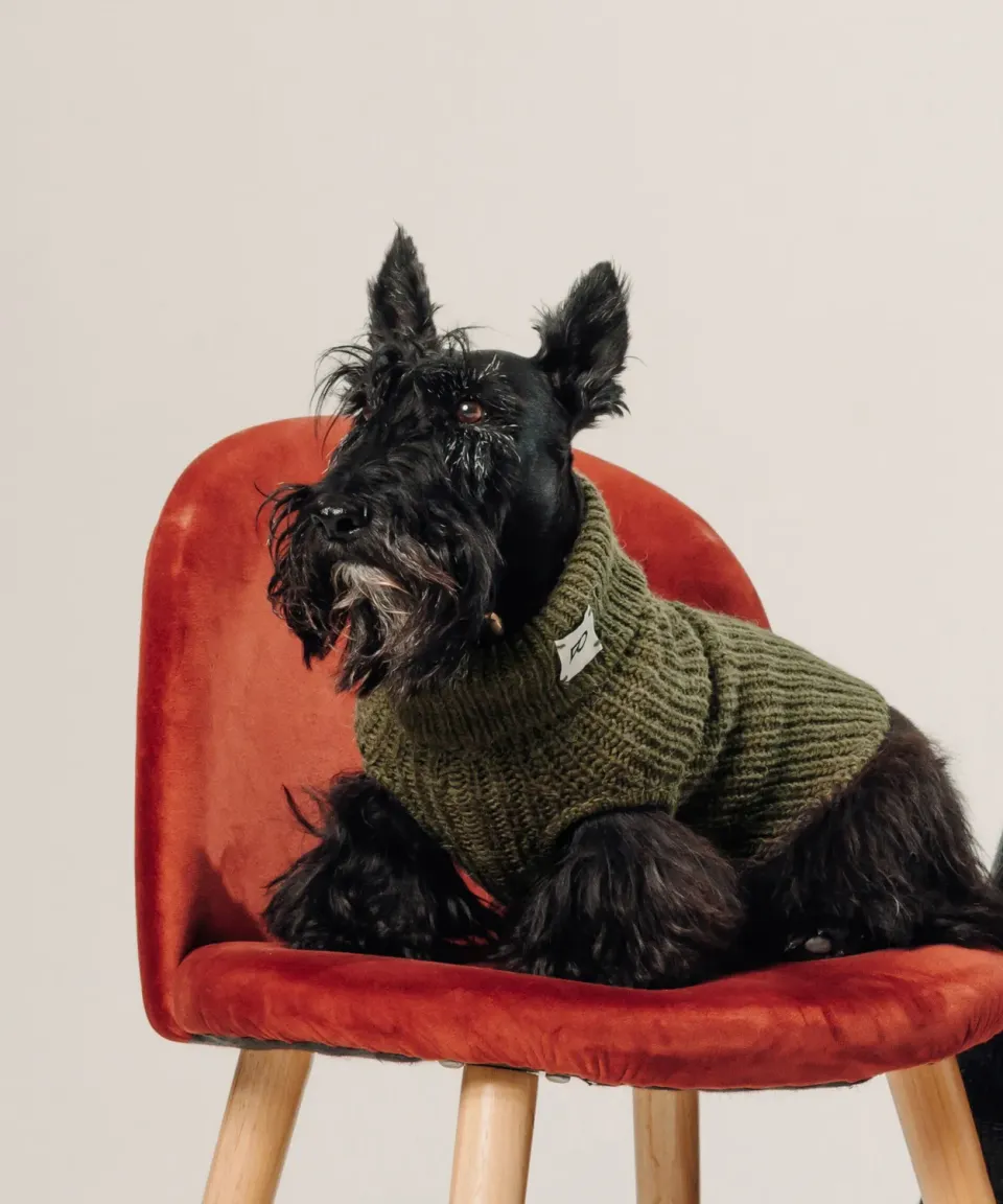 Rodier Maglione Cane Verde Kaki Maglia